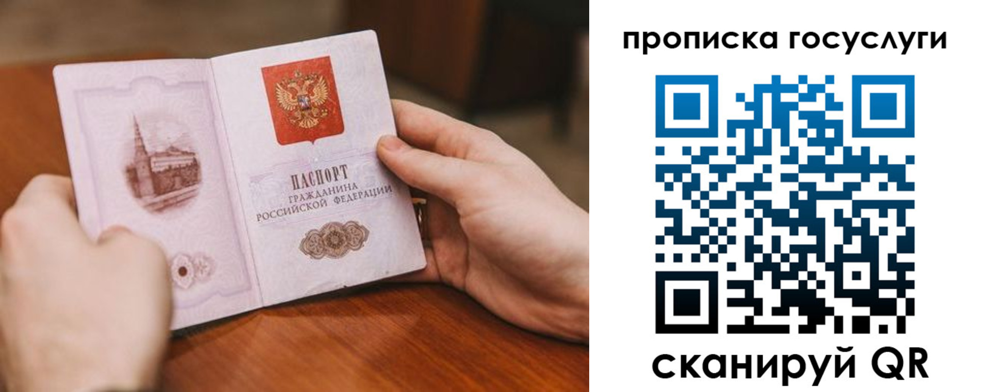 прописка ребенка в Гвардейске